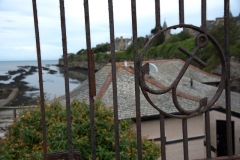 Landscape through a Fence