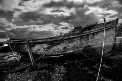 Tied Down - Edited in Photoshop CC